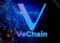 VeChain Blockchain: Scaling the Success Ladder