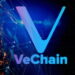 VeChain Blockchain: Scaling the Success Ladder