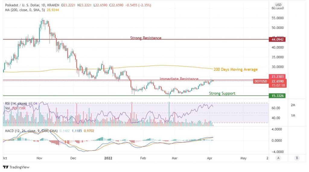 DOT Price Analysis